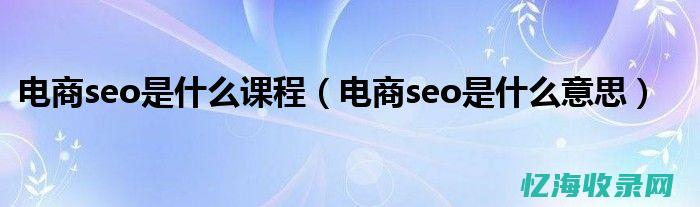 seo营销是什么意思啊 (seo营销是什么)