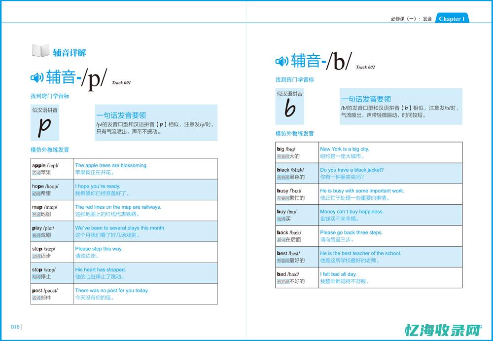 零基础学seo难吗 (零基础学色彩)