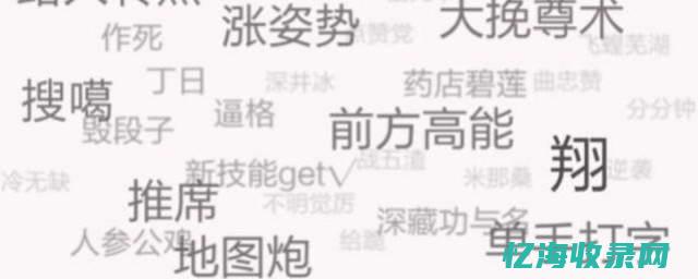 网络专业术语中,seo意思是 (网络专业术语pv指的是)