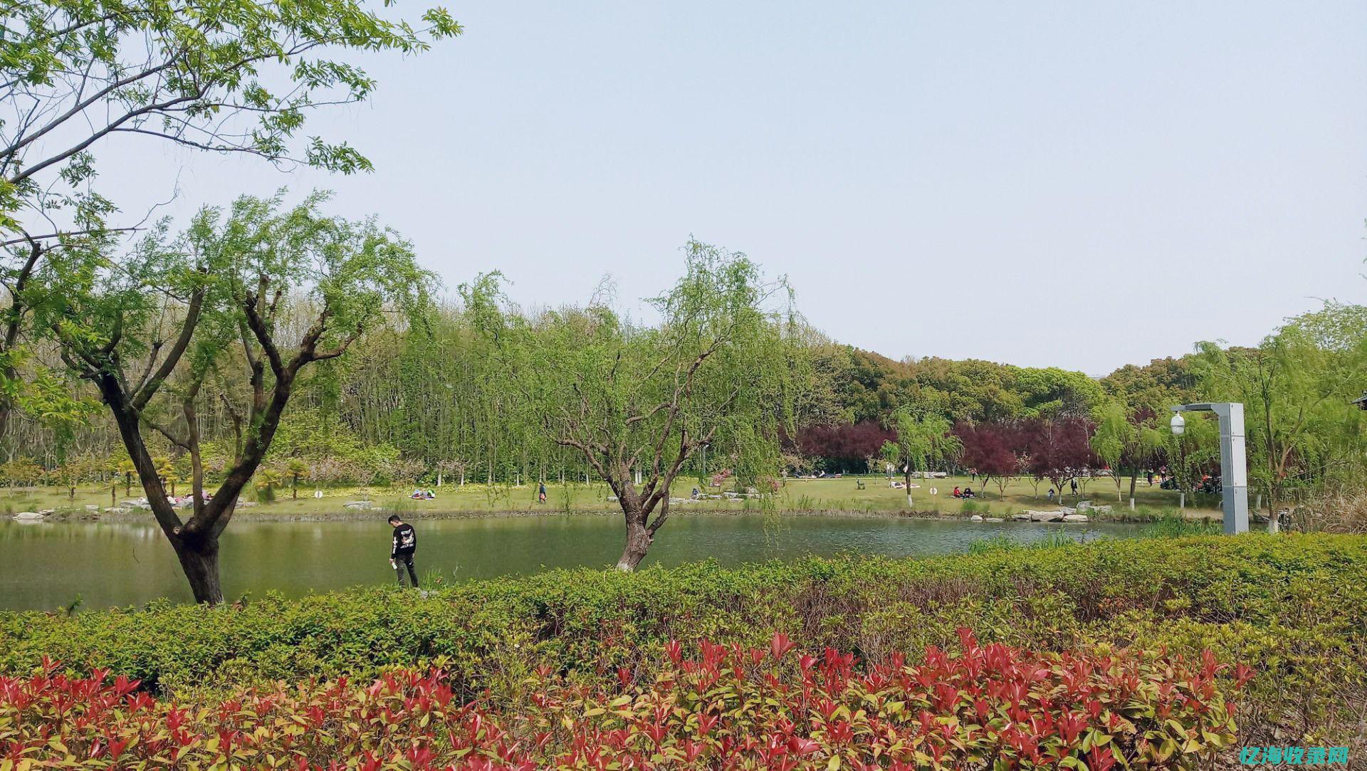 瑞安森林公园