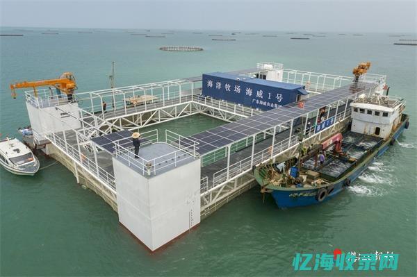 湛江seo管理