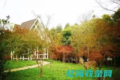 安平森林公园一圈多少公里