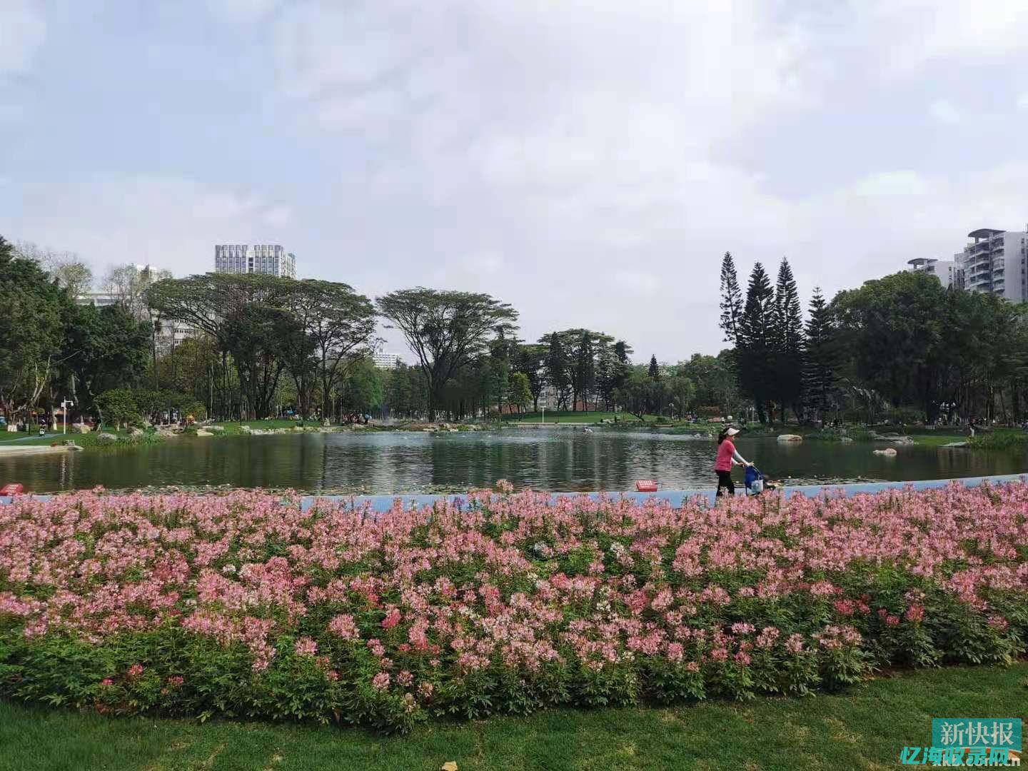 黄埔森林公园