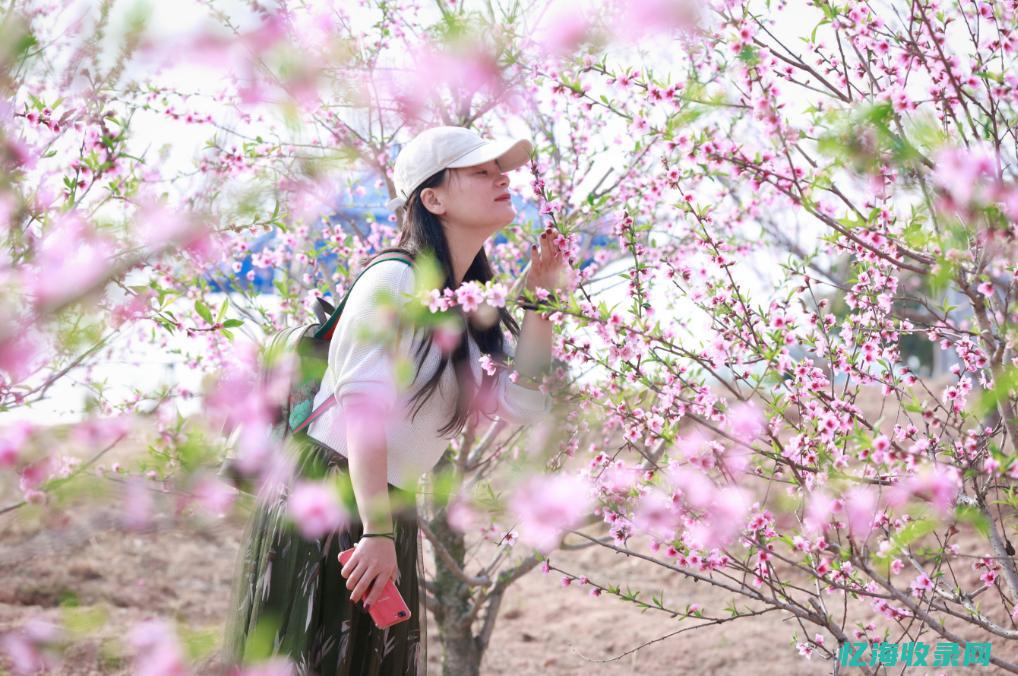 赵县森都花城哪一年建的