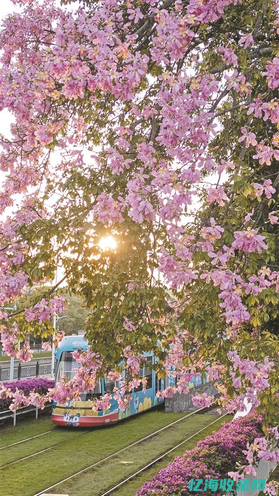 赵县森都花城哪一年建的