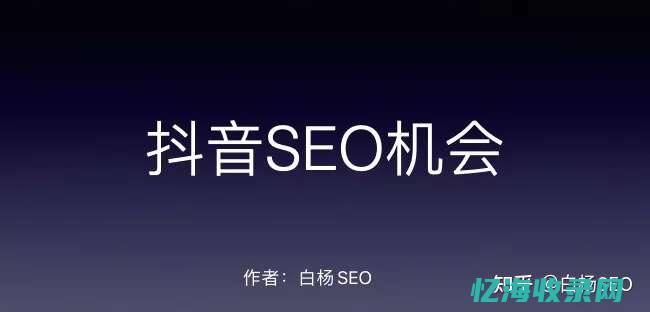 东莞seo网站排名