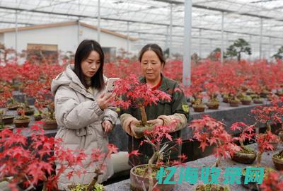 沭阳森泰别克4s店