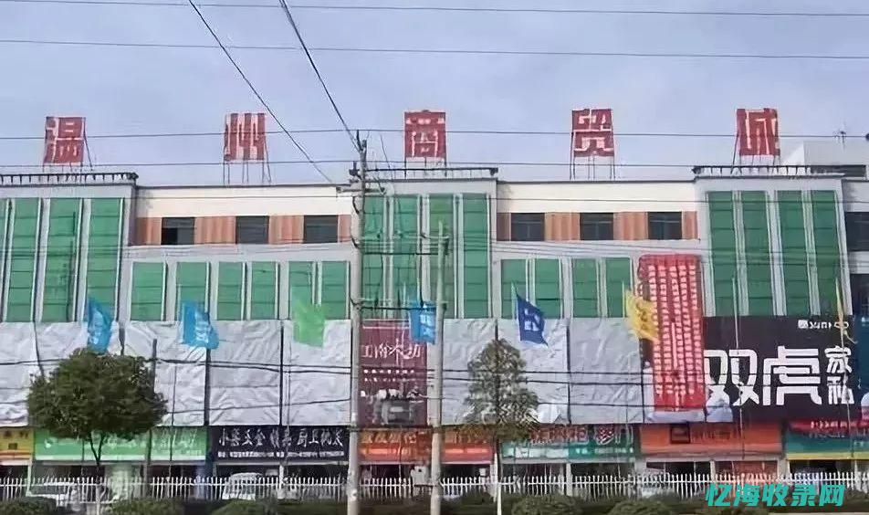 温州seo团队