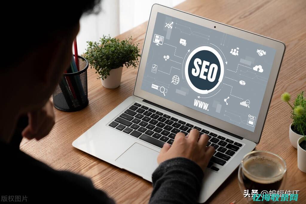 seo品牌词