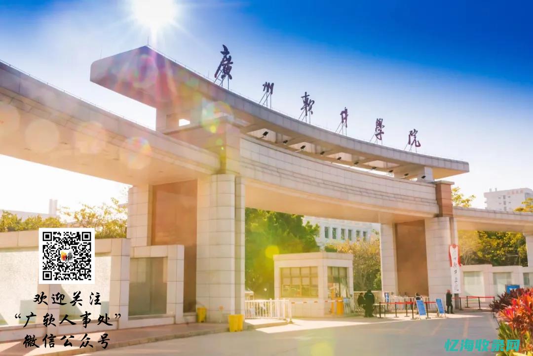 广州专业seo (广州市专业技术)