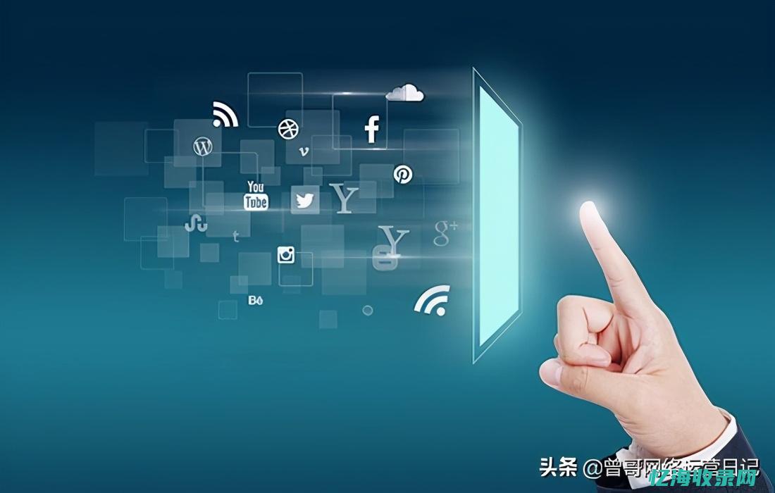 seo数据