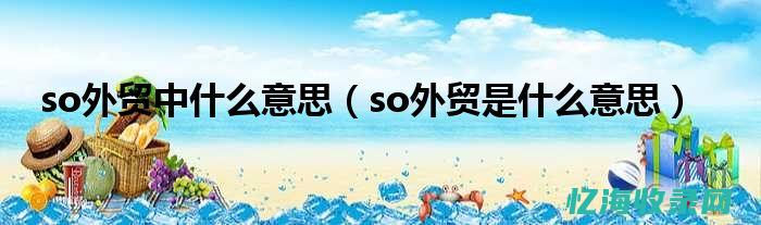 什么是外贸SEO (外贸啥意思?)