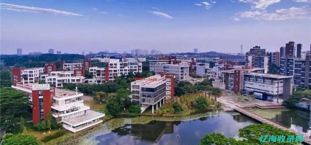 东莞网站seo公司哪家大