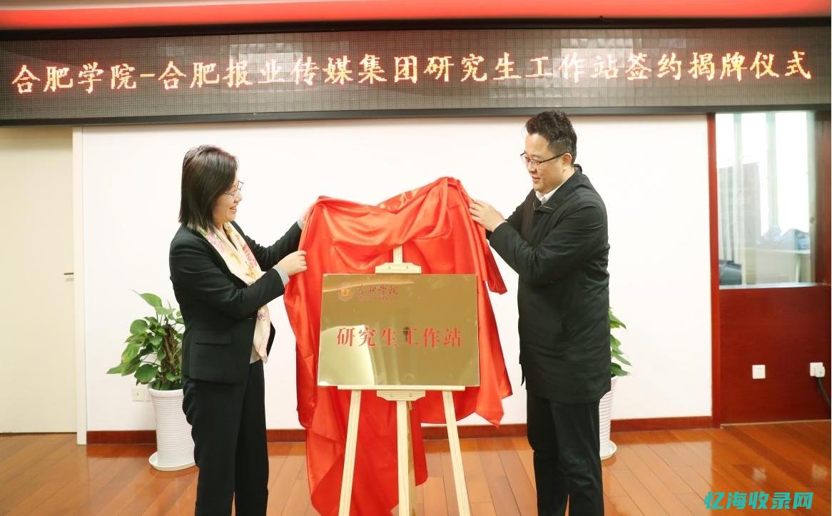 合肥seo网站