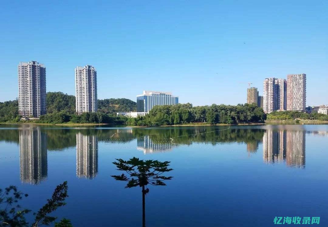 阳江seo技术