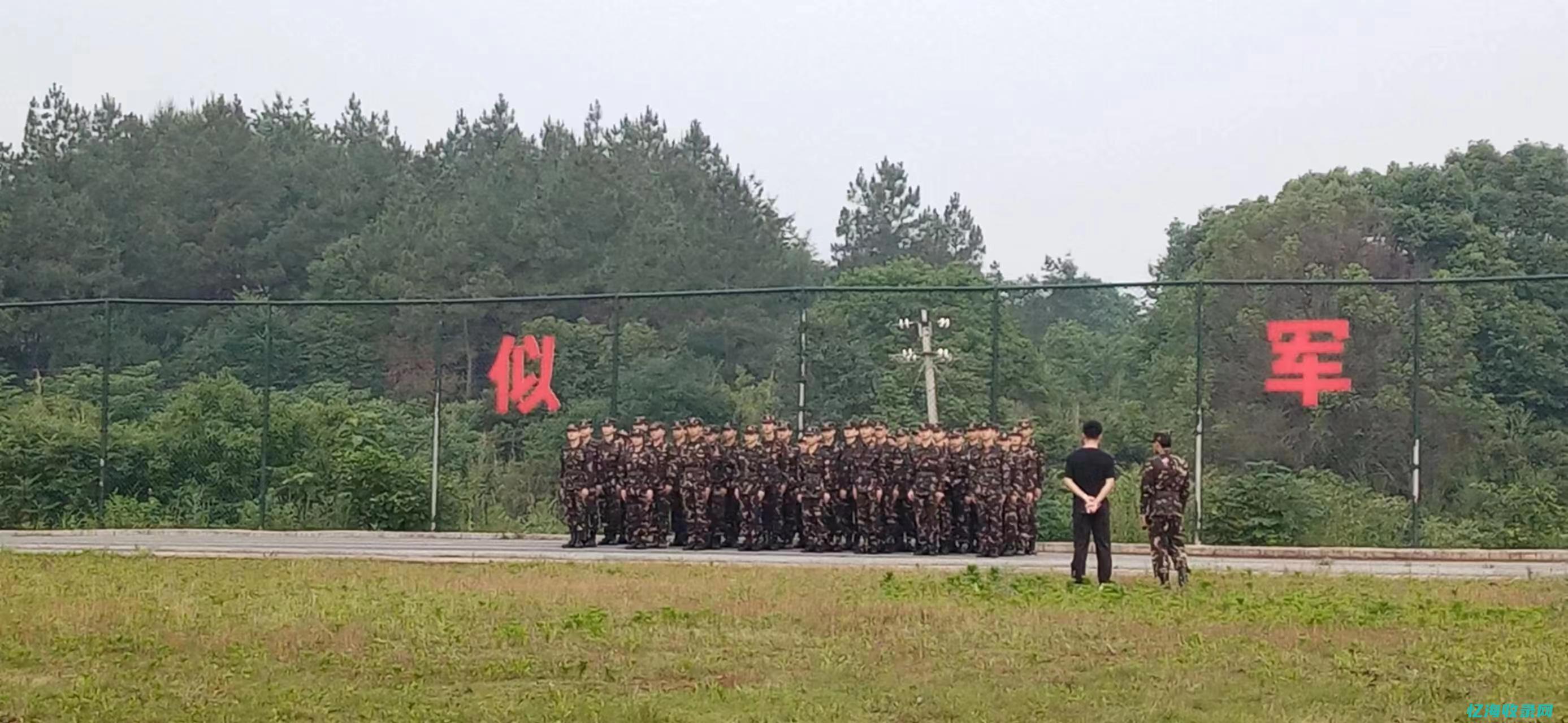 衡阳专业seo公司 (湖南省衡阳市专科学校)