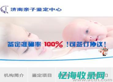 济南网站seo公司 (济南网站设计培训价格)