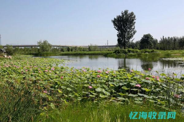 怀柔森林公园有什么好玩的 (怀柔森林公园平面图)