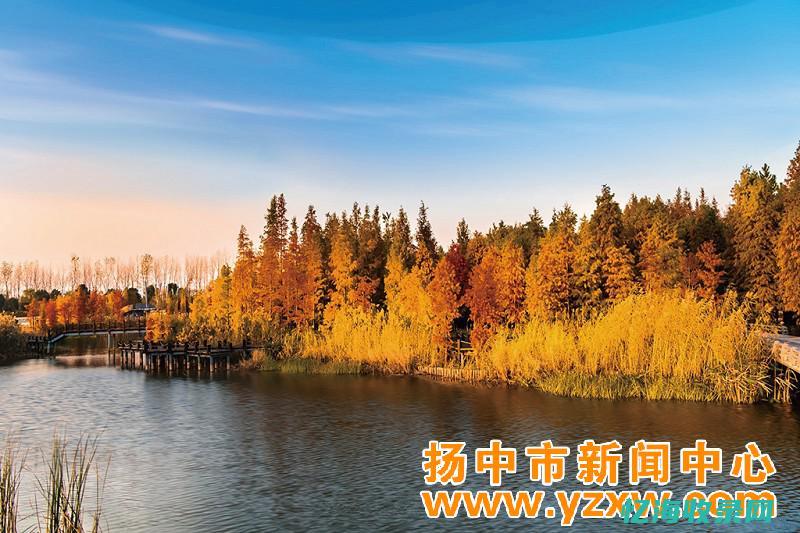 扬中森羽农场 (扬州森宇体育用品有限公司)