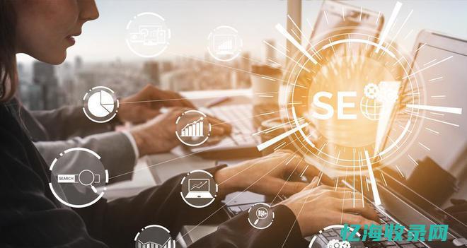 seo数据分析模板