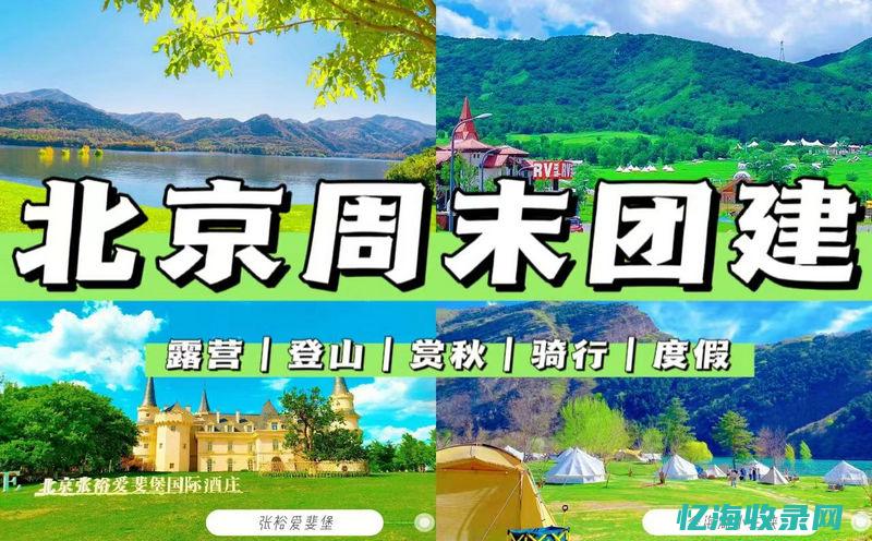 北京seo团队
