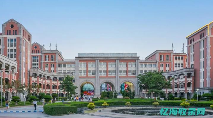 深圳专业seo整站优化公司 (深圳专业技术十一级待遇)