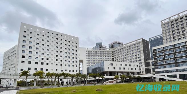深圳专业seo整站优化公司