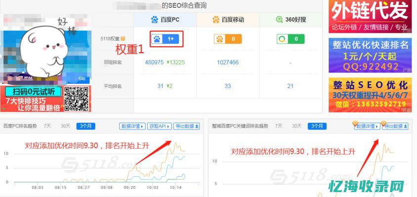 长春seo排名