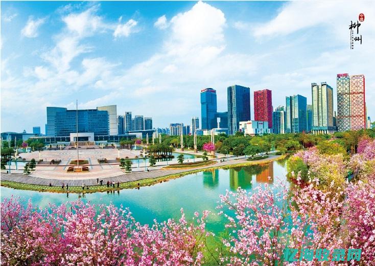 柳州网站seo (柳州网站建设内容优化)