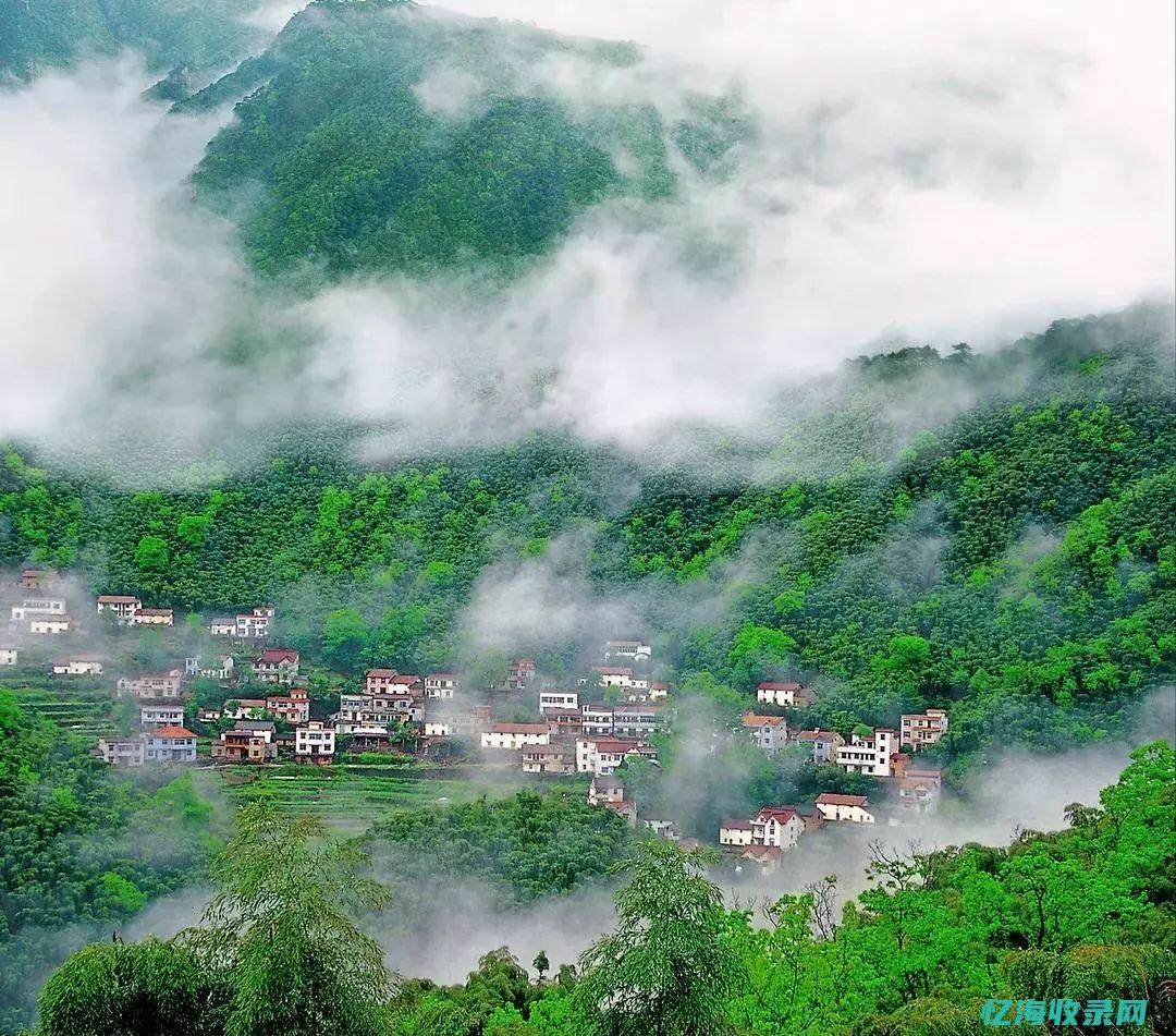 安吉seo (安吉森)
