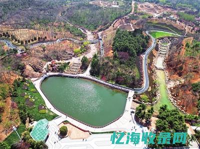 青岛的森林公园有哪些 (青岛的森林公园)