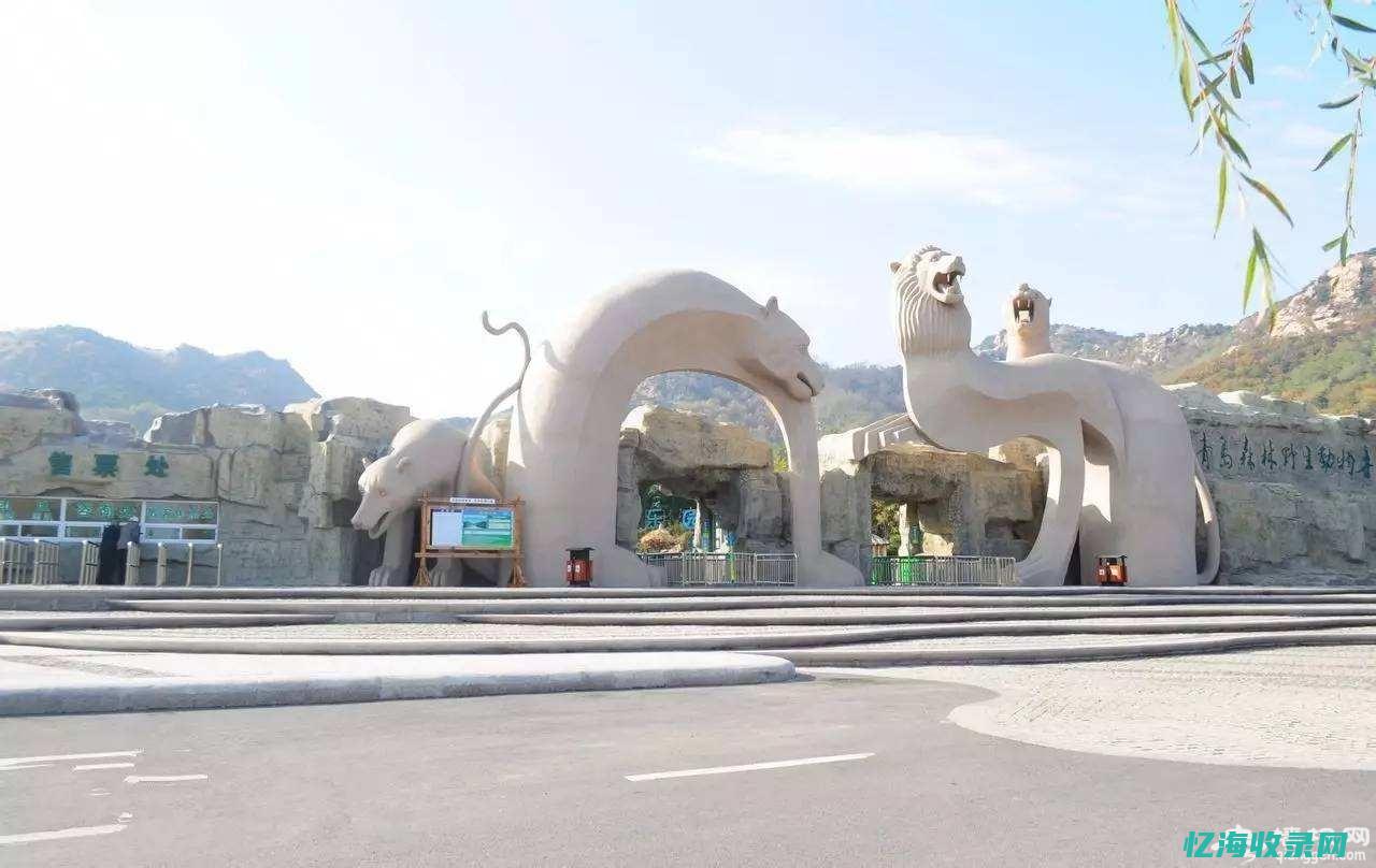 青岛的森林公园有哪些 (青岛的森林公园有上涨空间嘛)