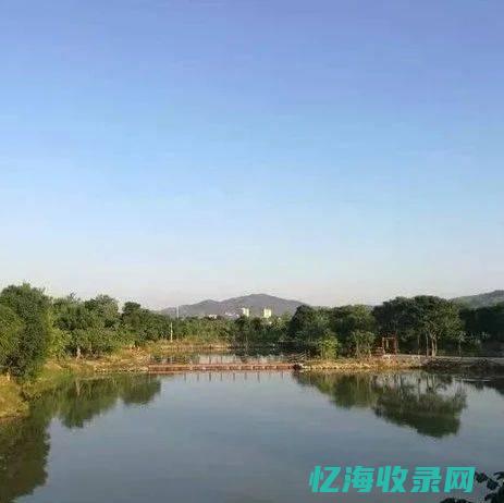 汕头的森林群有多少个