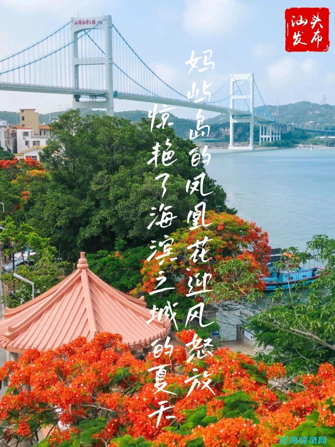 汕头的森林覆盖率