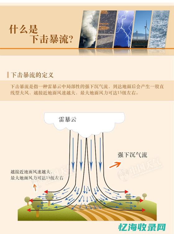 伤害最高的英雄是什么