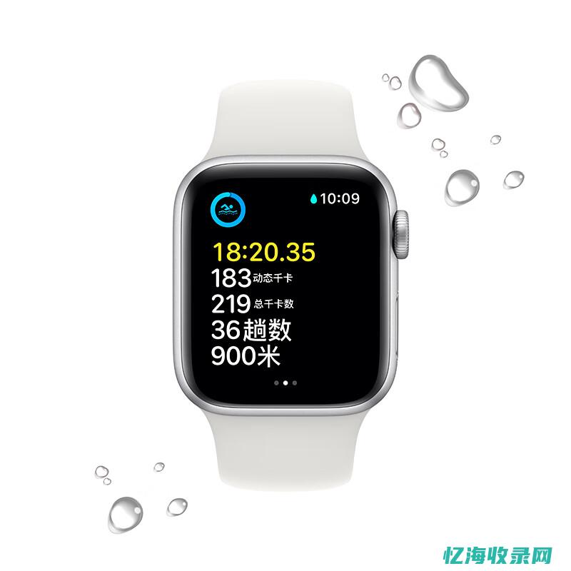 手表se和s9区别