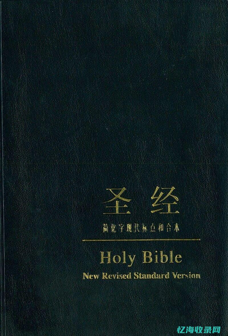 SEO圣经 (网络词汇圣经是什么意思)