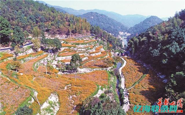 长沙的森林公园