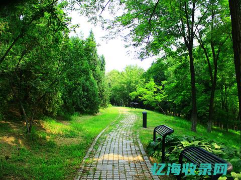 临清森林公园的价格