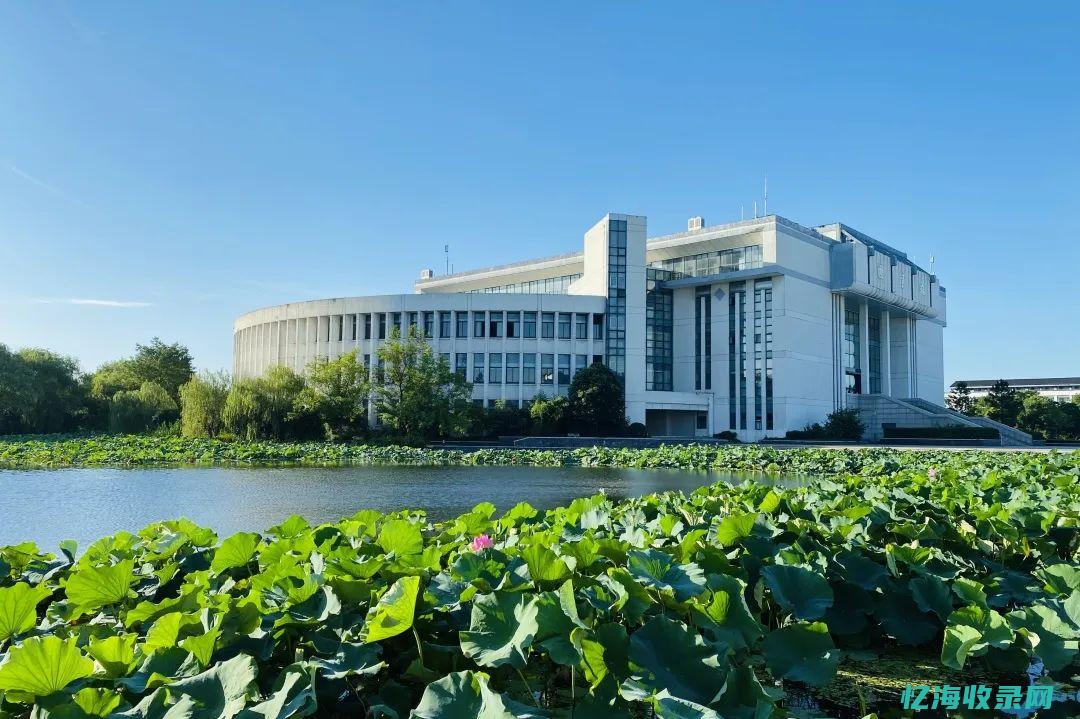 苏州专业网站seo推广 (苏州专业网站建设团队)