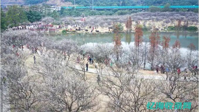 黄埔森林公园开放时间