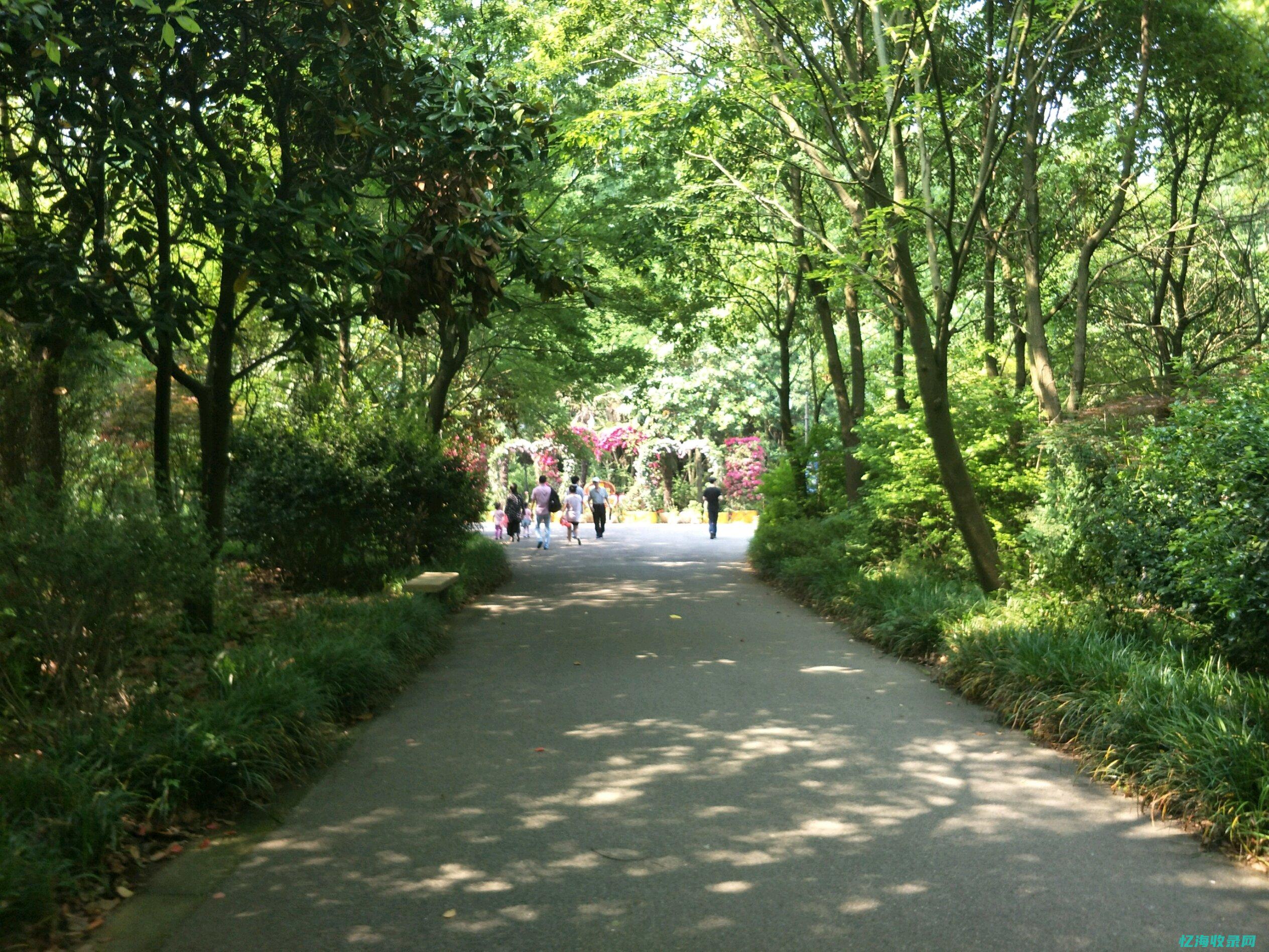 安平县森林公园导航