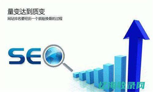 郑州seo服务公司 (郑州seo团队)