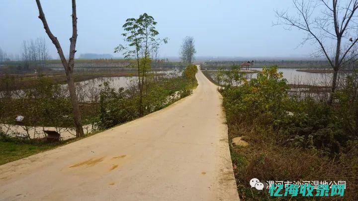 沙河森林公园在哪里 (沙河市的公园)