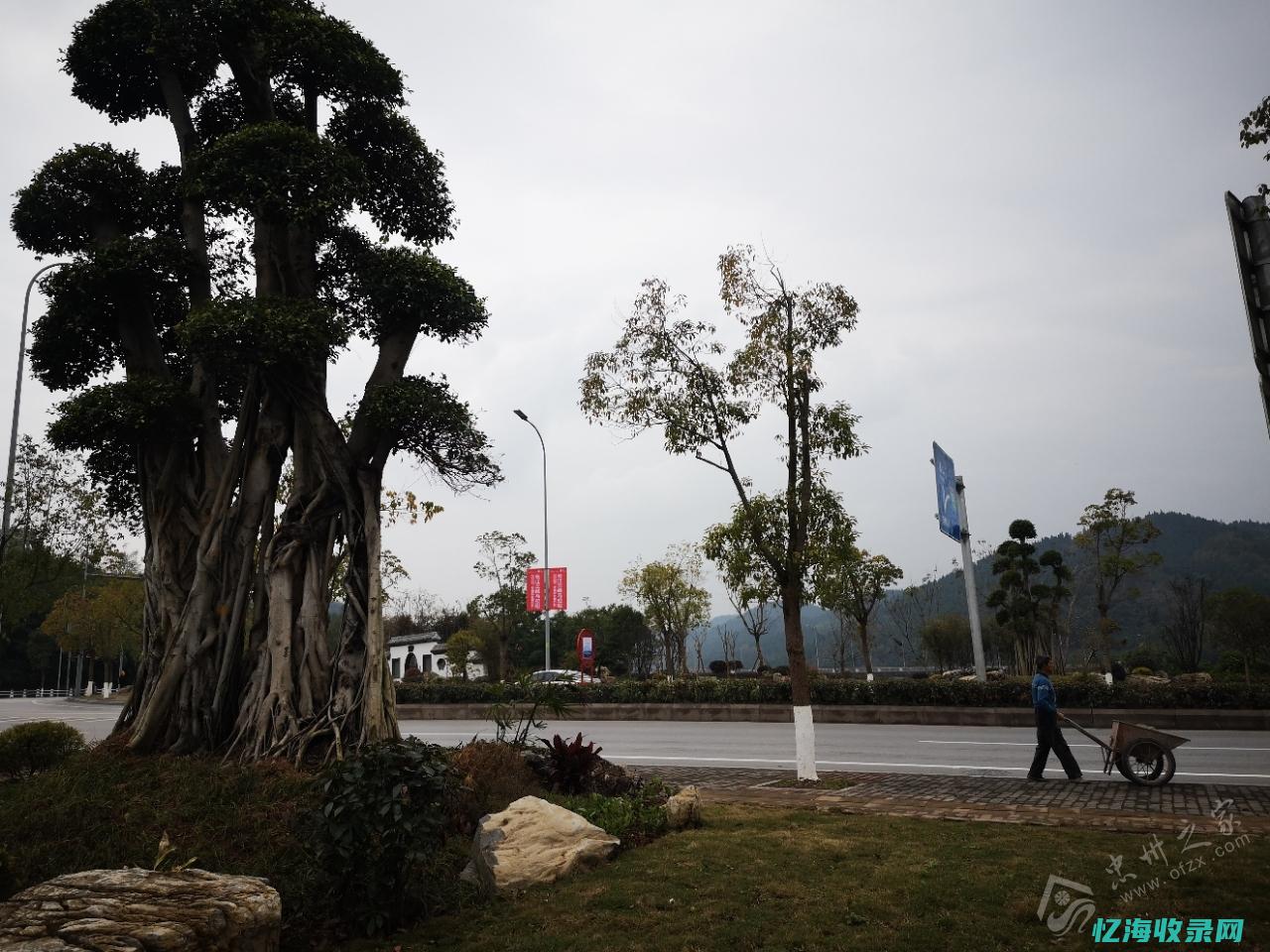忠县seo (忠县人民医院)