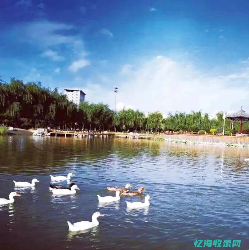 呼市森林公园好玩吗 (呼市森林公园在哪)