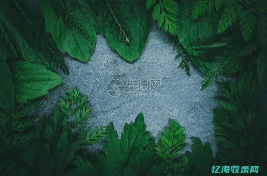 黑页岩 (黑页岩的主要成分)