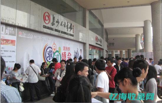 长沙seo招聘信息