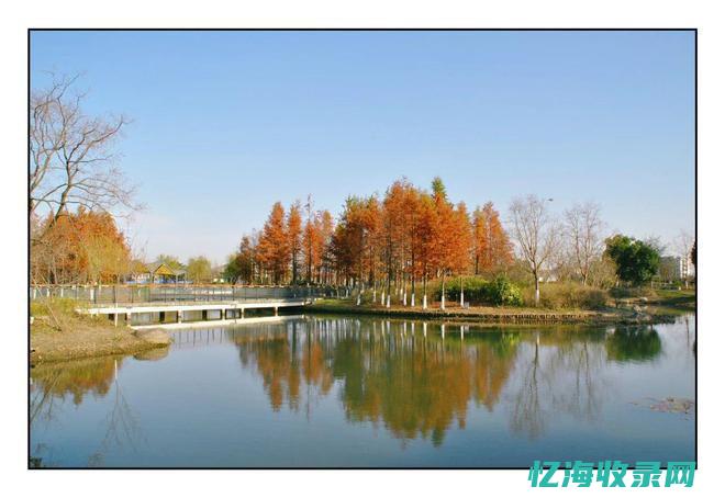 青浦森林水上公园 (青浦区森林公园)