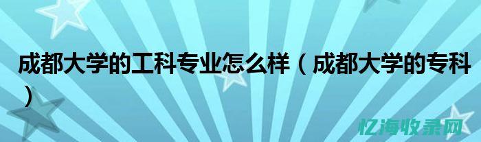 成都专业seo公司 (成都市专业技术人才教育网)